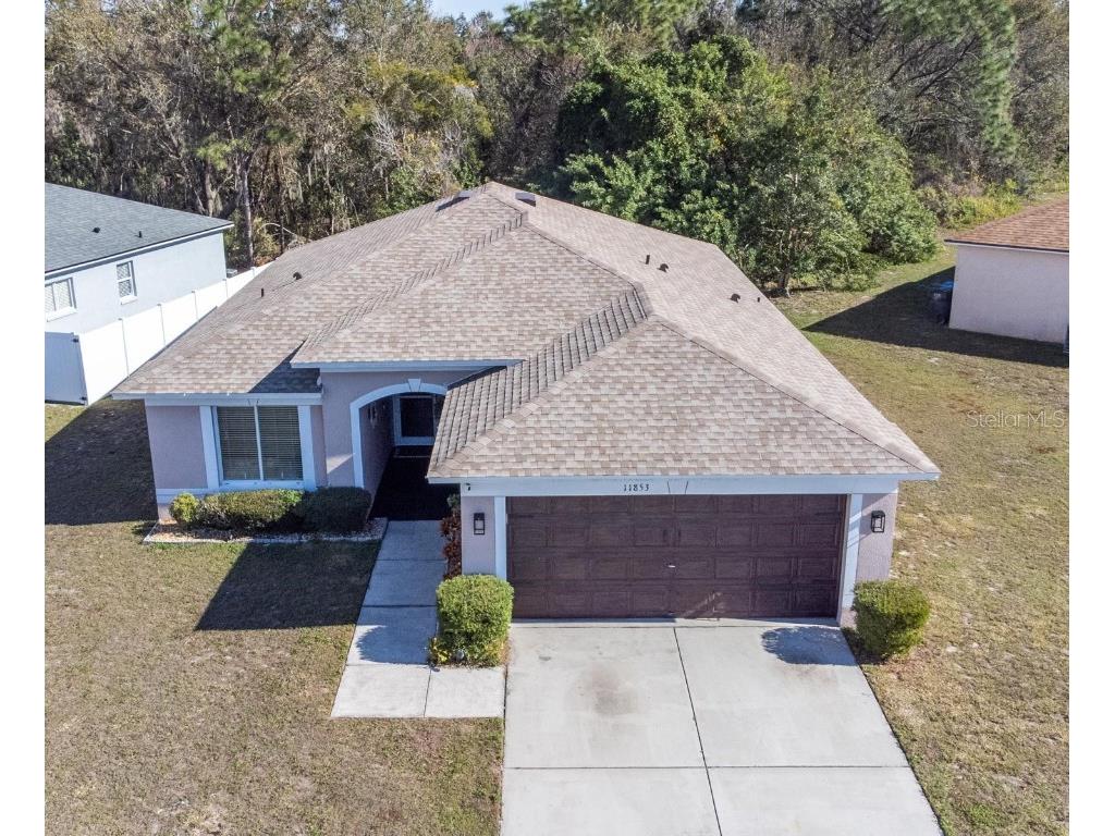11853 Brenford Crest Drive Riverview FL 33579 T3500364 image1