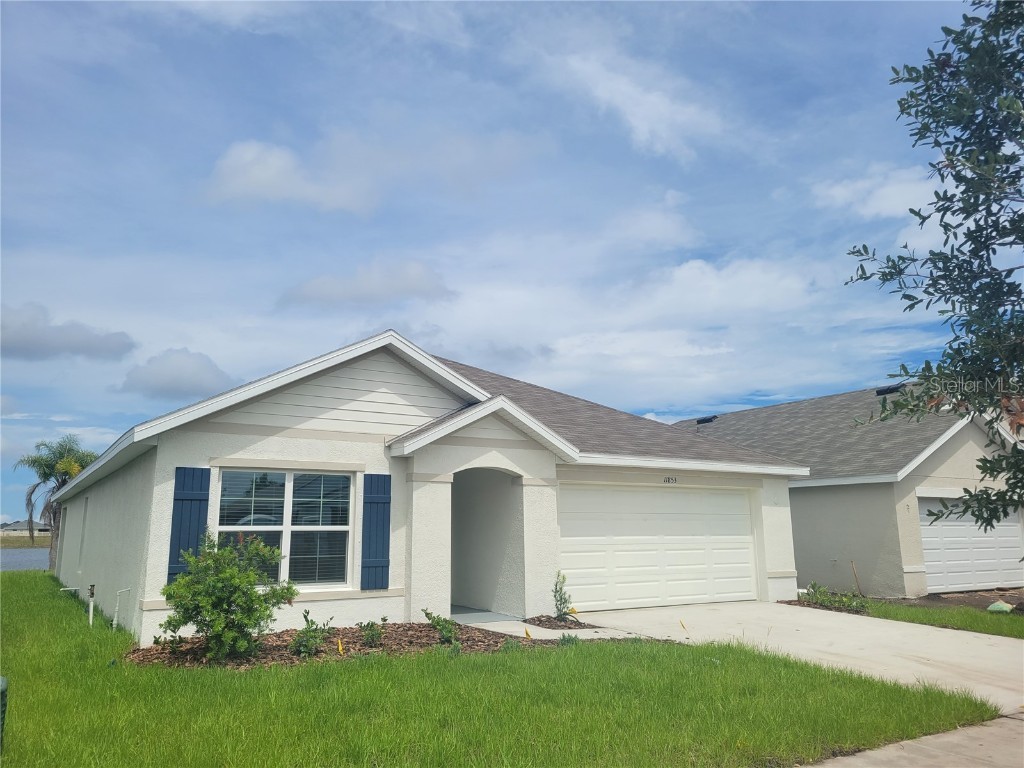 11853 Downy Birch Drive Riverview FL 33569 O6131725 image1