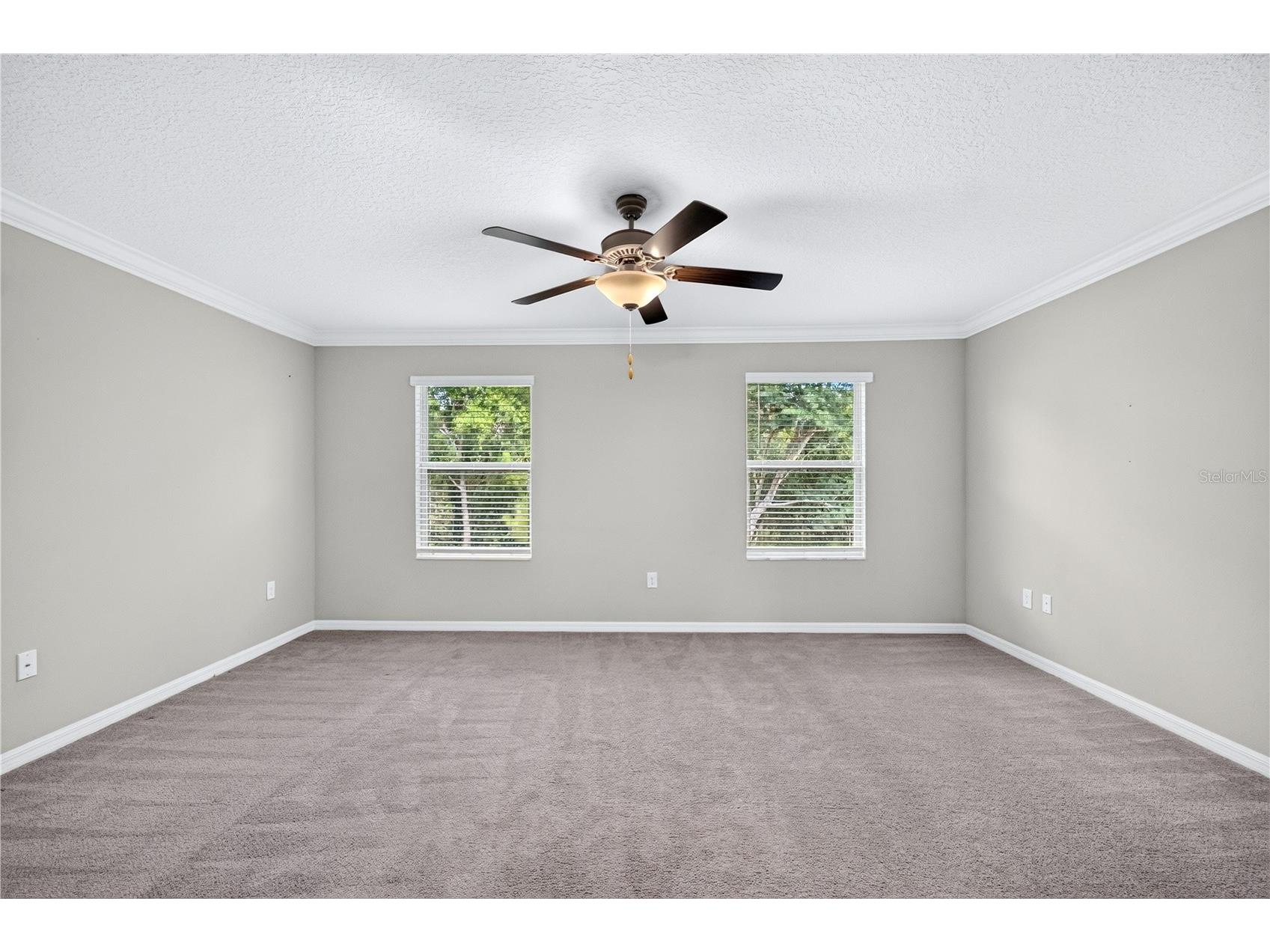11855 Dumaine Valley Road Riverview FL 33579 W7887210 image17