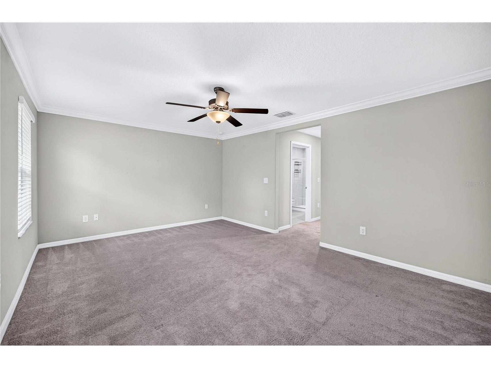 11855 Dumaine Valley Road Riverview FL 33579 W7887210 image18