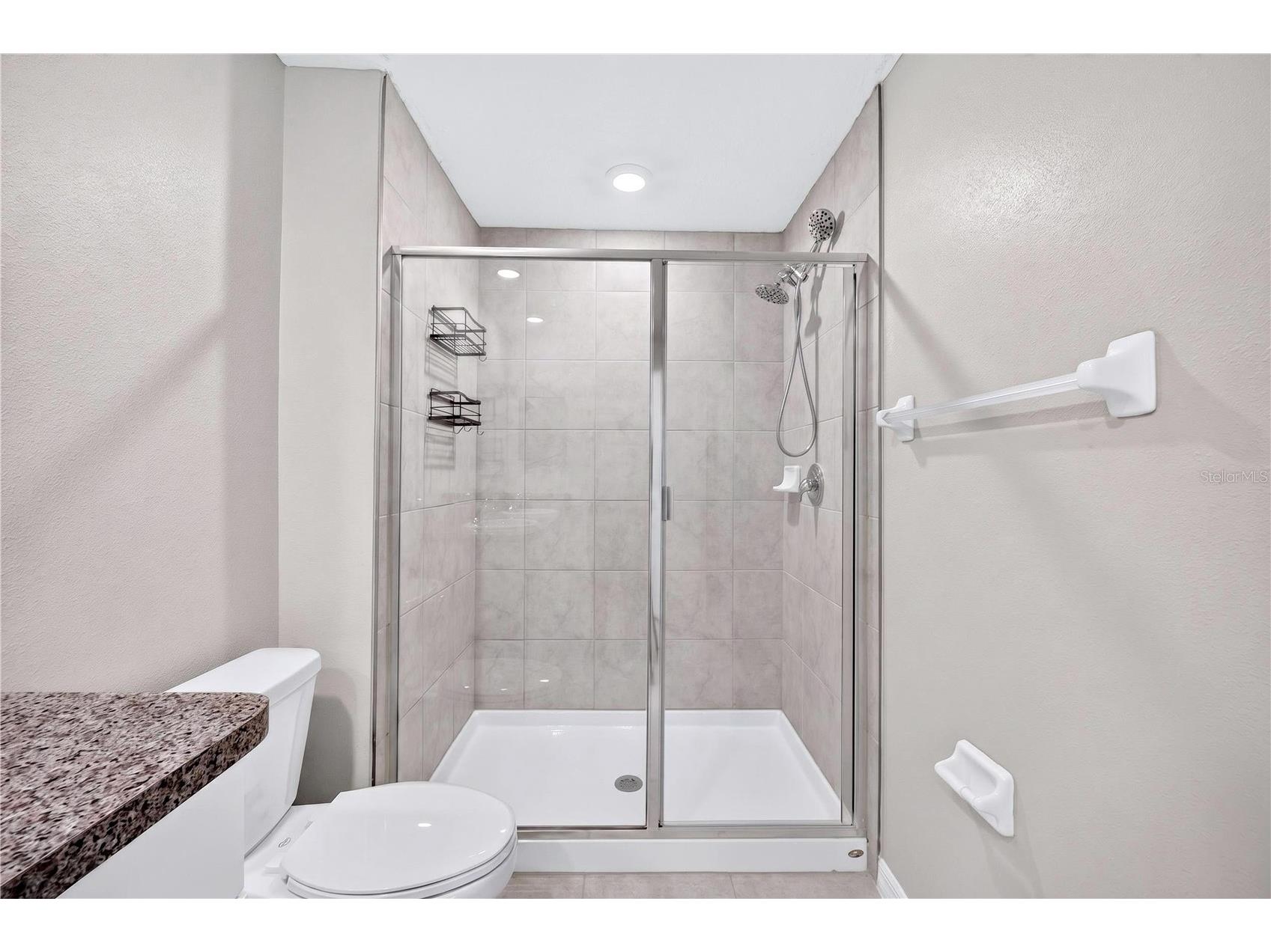 11855 Dumaine Valley Road Riverview FL 33579 W7887210 image20