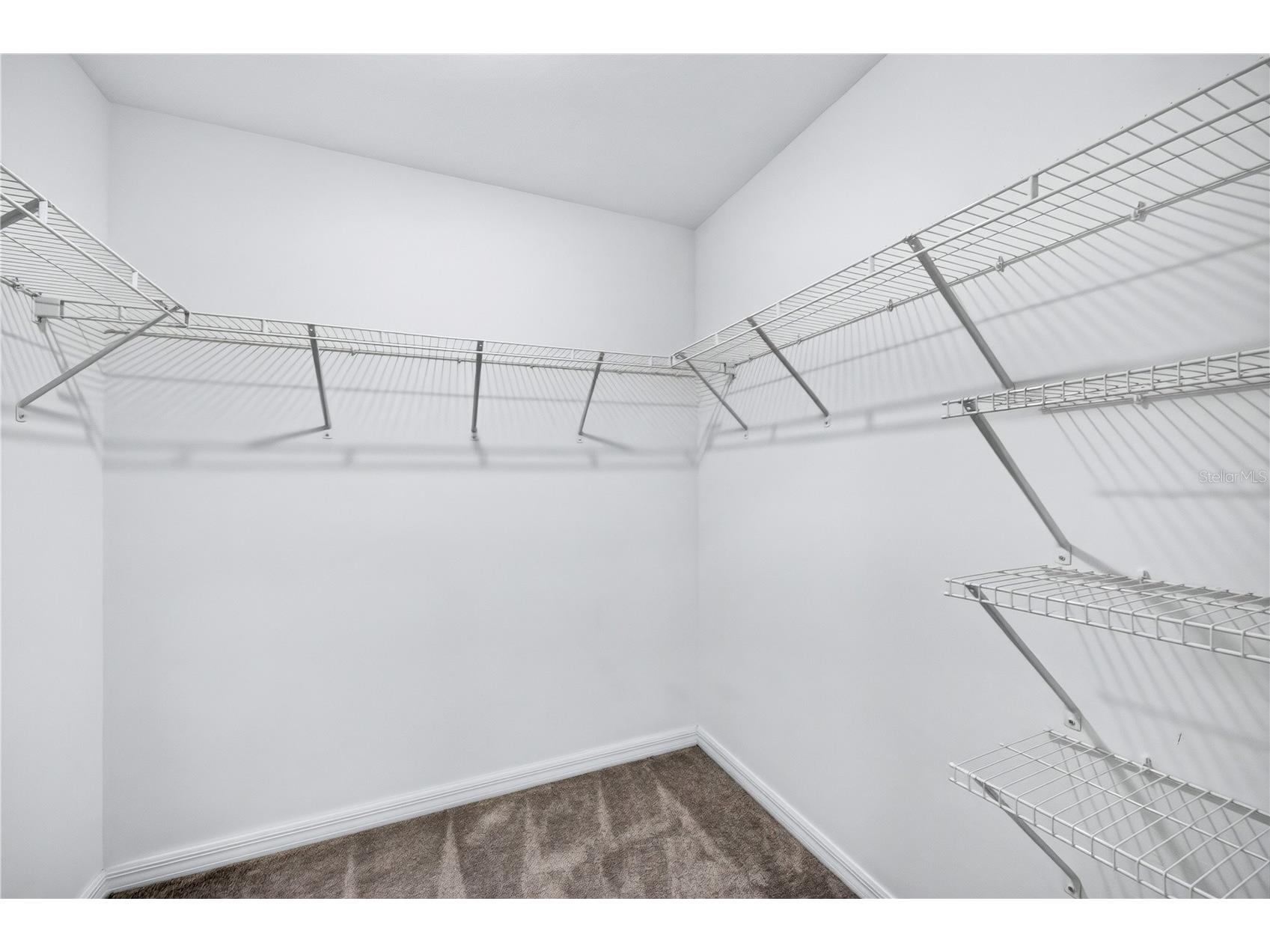 11855 Dumaine Valley Road Riverview FL 33579 W7887210 image30