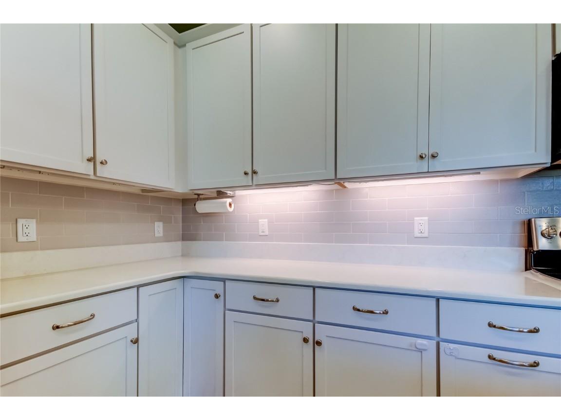 11855 Ranchers Gap Drive Odessa FL 33556 TB8419555 image10