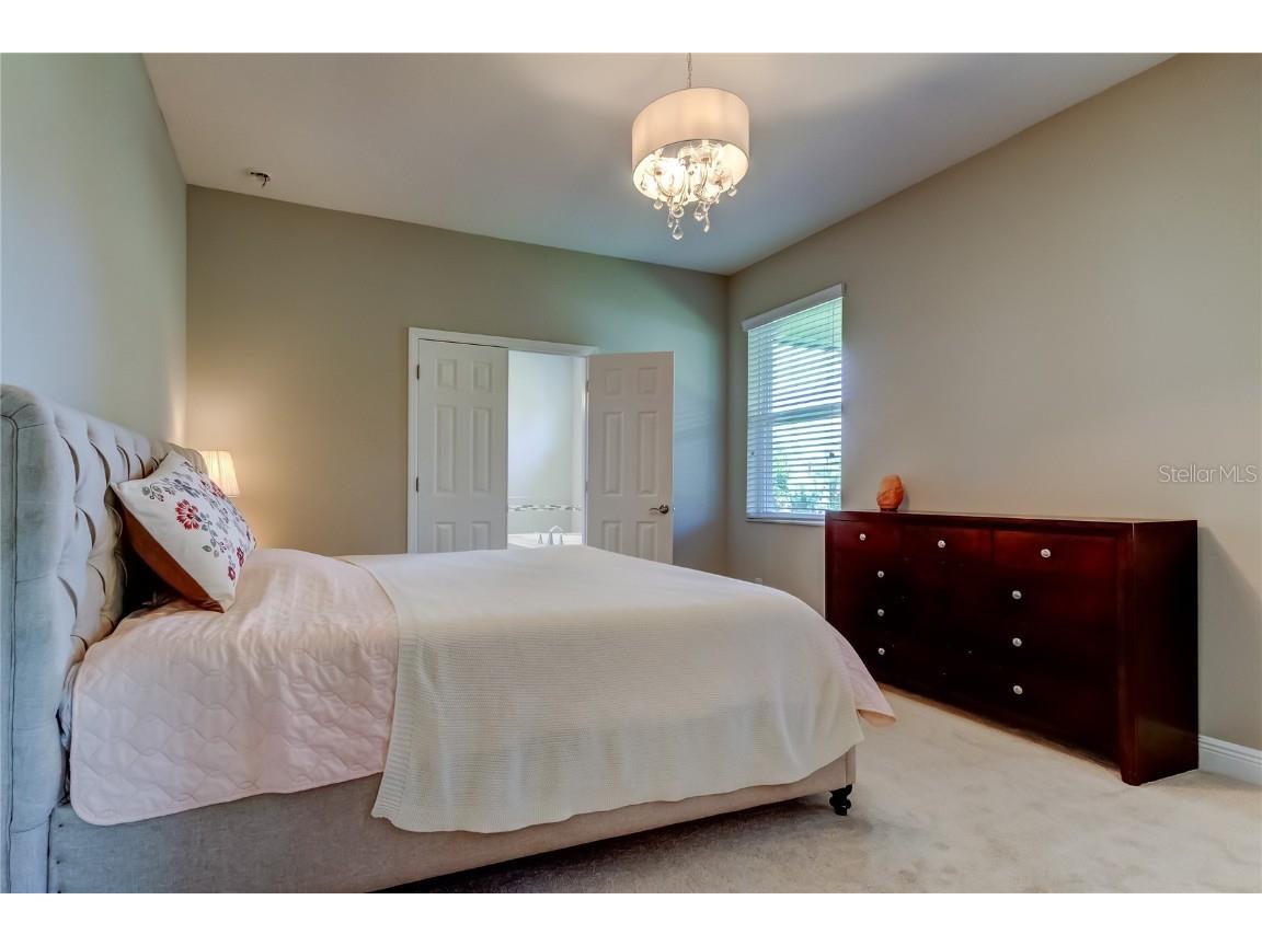 11855 Ranchers Gap Drive Odessa FL 33556 TB8419555 image21