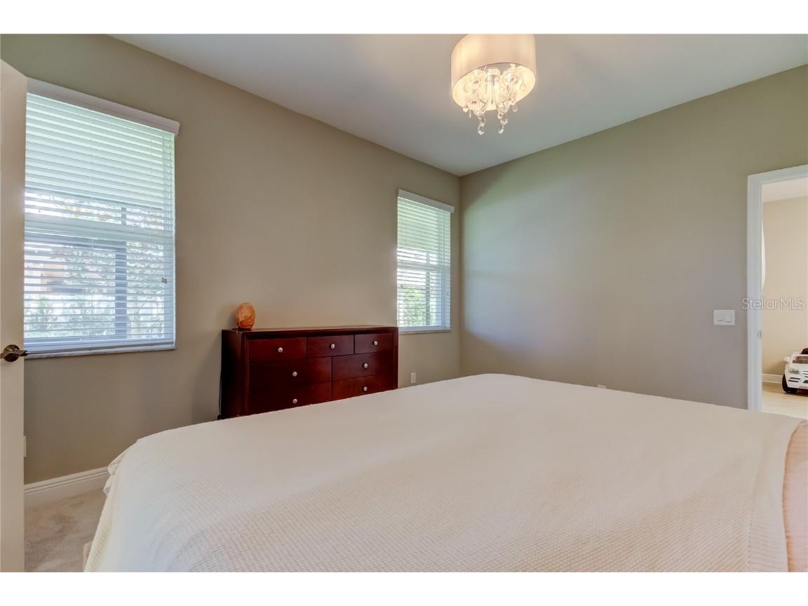 11855 Ranchers Gap Drive Odessa FL 33556 TB8419555 image24