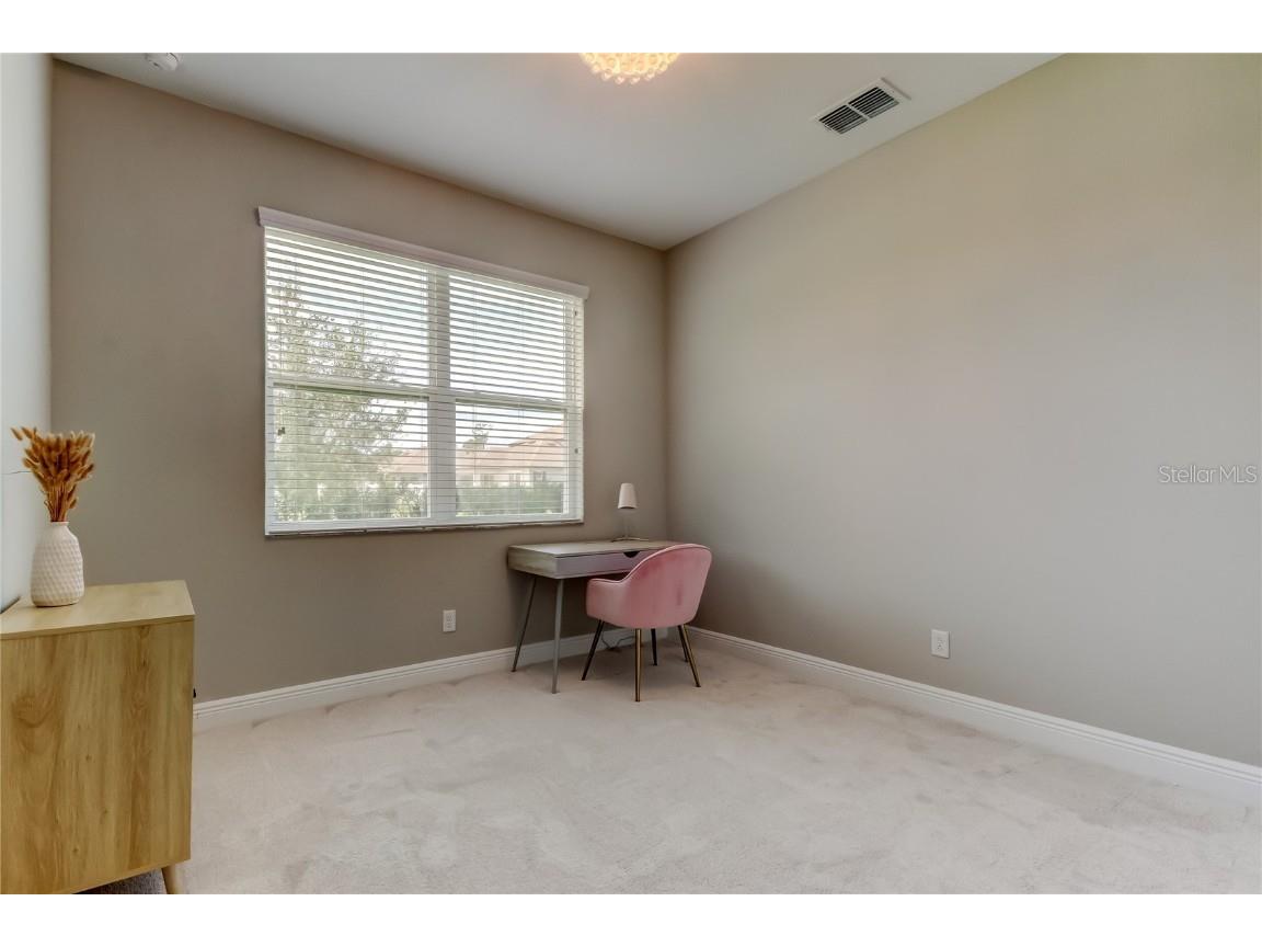 11855 Ranchers Gap Drive Odessa FL 33556 TB8419555 image29