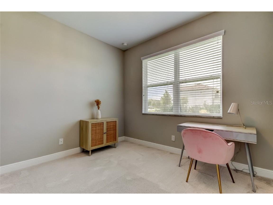 11855 Ranchers Gap Drive Odessa FL 33556 TB8419555 image30