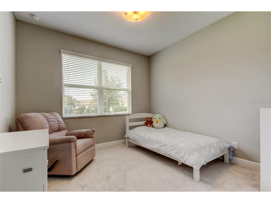 11855 Ranchers Gap Drive Odessa FL 33556 TB8419555 image35