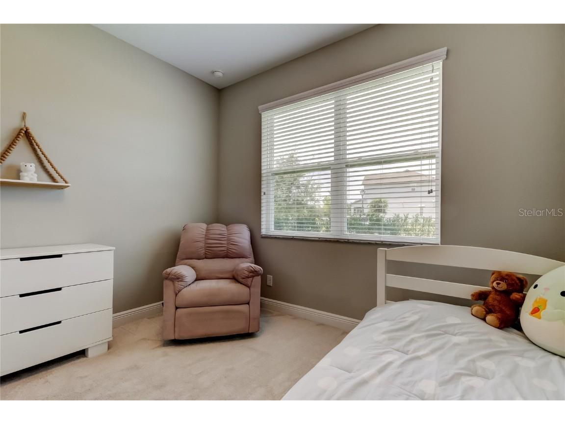 11855 Ranchers Gap Drive Odessa FL 33556 TB8419555 image36