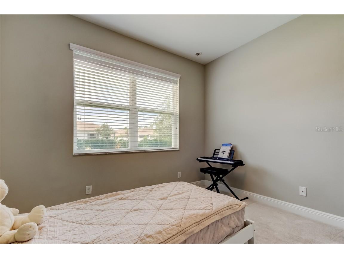 11855 Ranchers Gap Drive Odessa FL 33556 TB8419555 image37