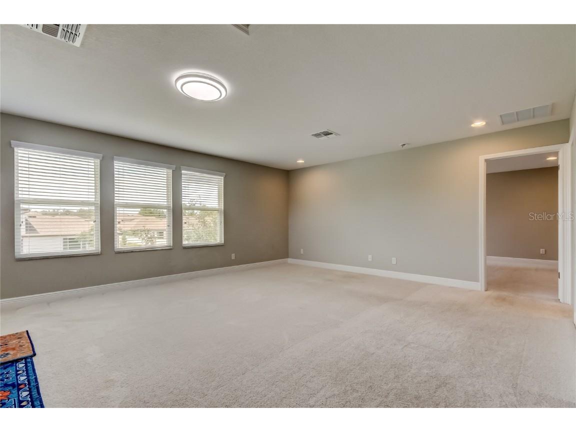 11855 Ranchers Gap Drive Odessa FL 33556 TB8419555 image40