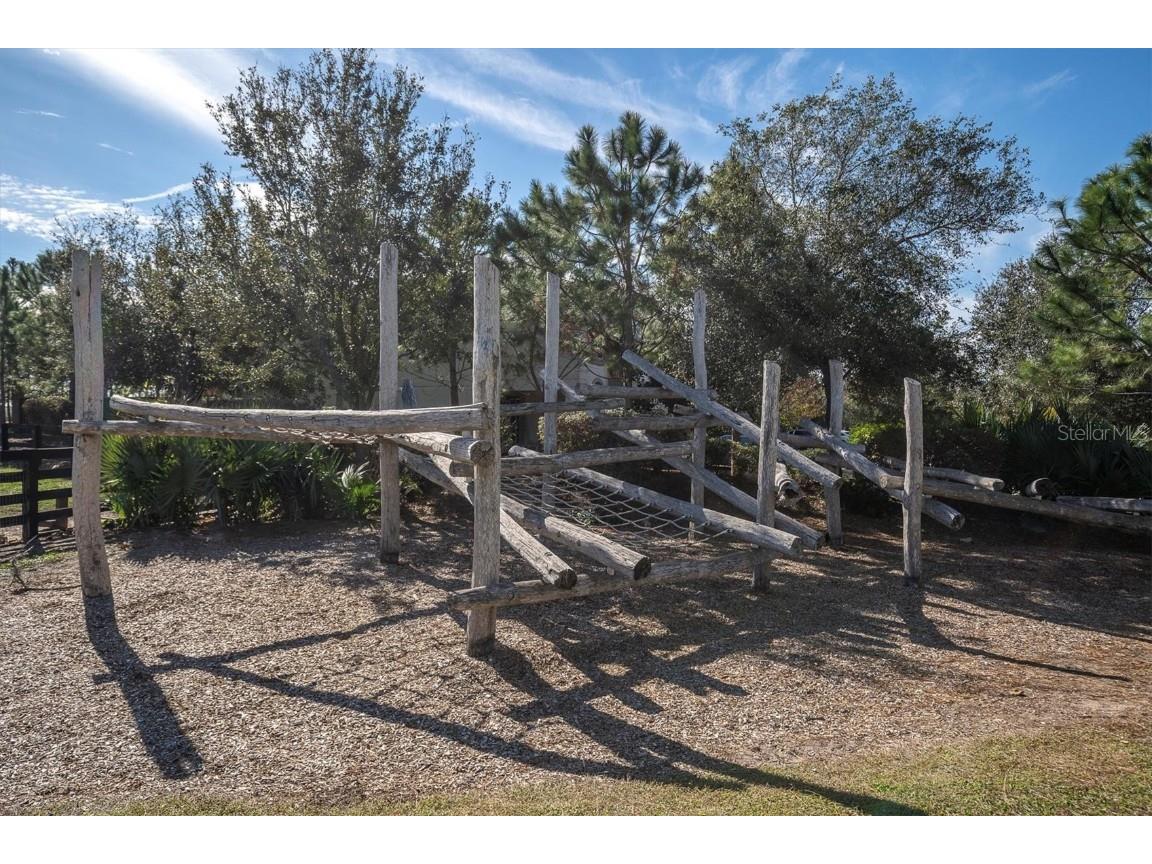 11855 Ranchers Gap Drive Odessa FL 33556 TB8419555 image57