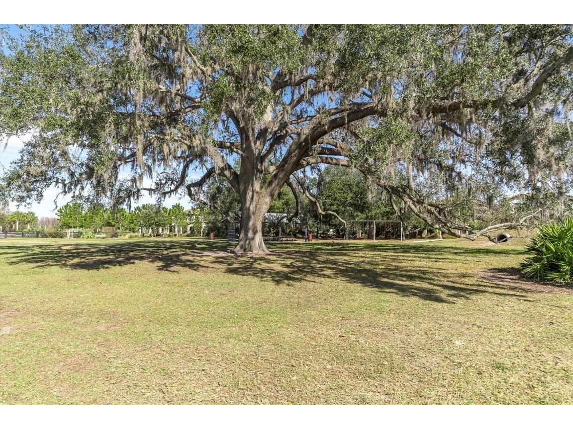 11855 Ranchers Gap Drive Odessa FL 33556 TB8419555 image58