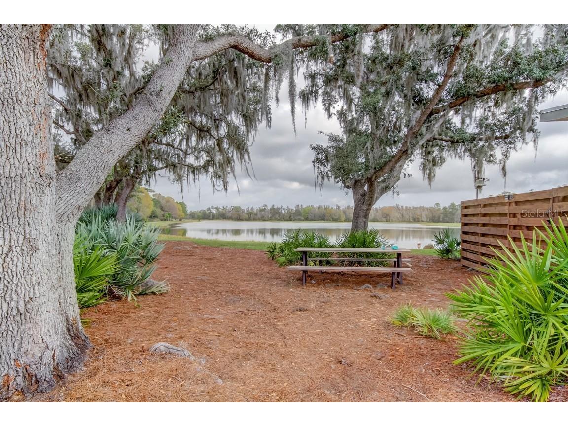 11855 Ranchers Gap Drive Odessa FL 33556 TB8419555 image64