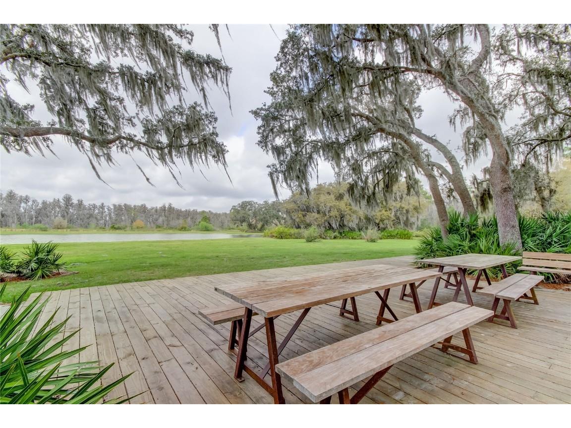 11855 Ranchers Gap Drive Odessa FL 33556 TB8419555 image65