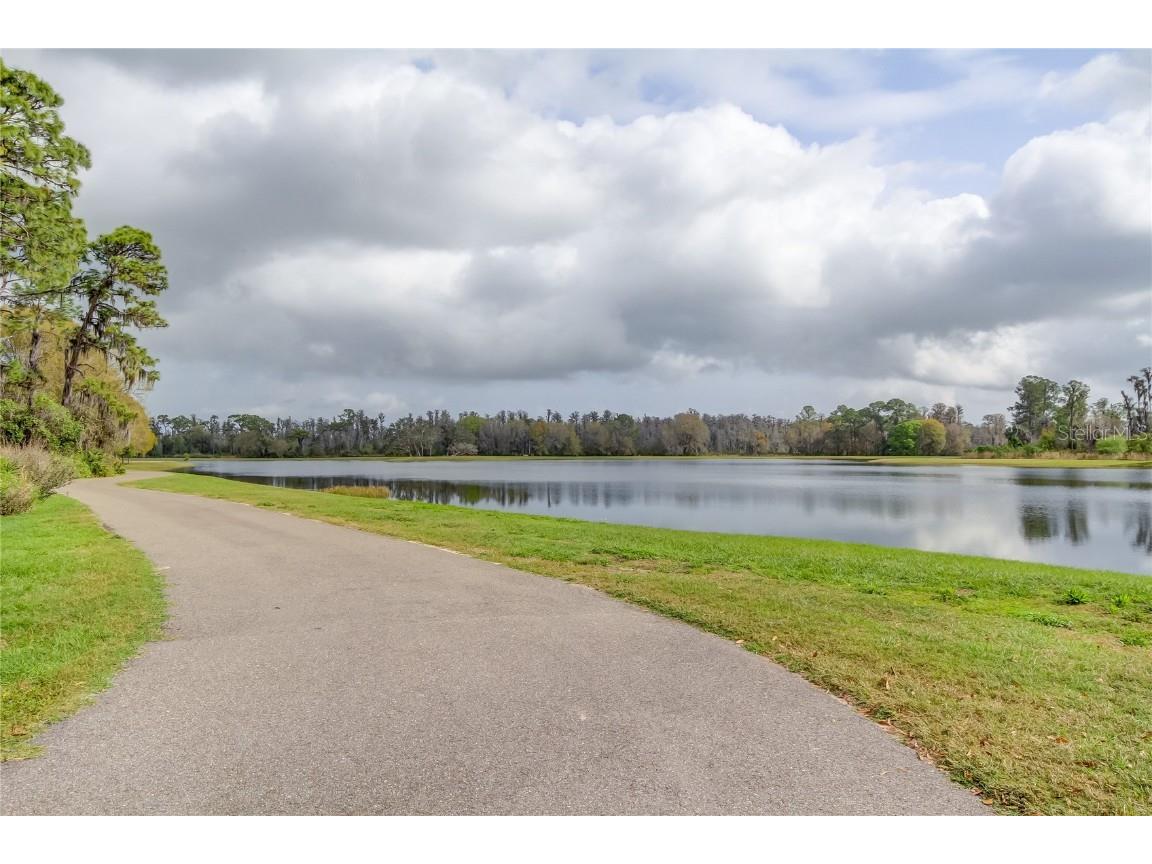 11855 Ranchers Gap Drive Odessa FL 33556 TB8419555 image66