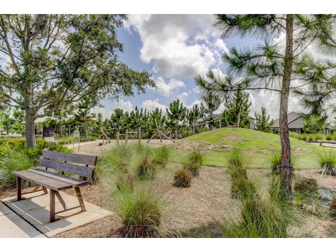 11855 Ranchers Gap Drive Odessa FL 33556 TB8419555 image72