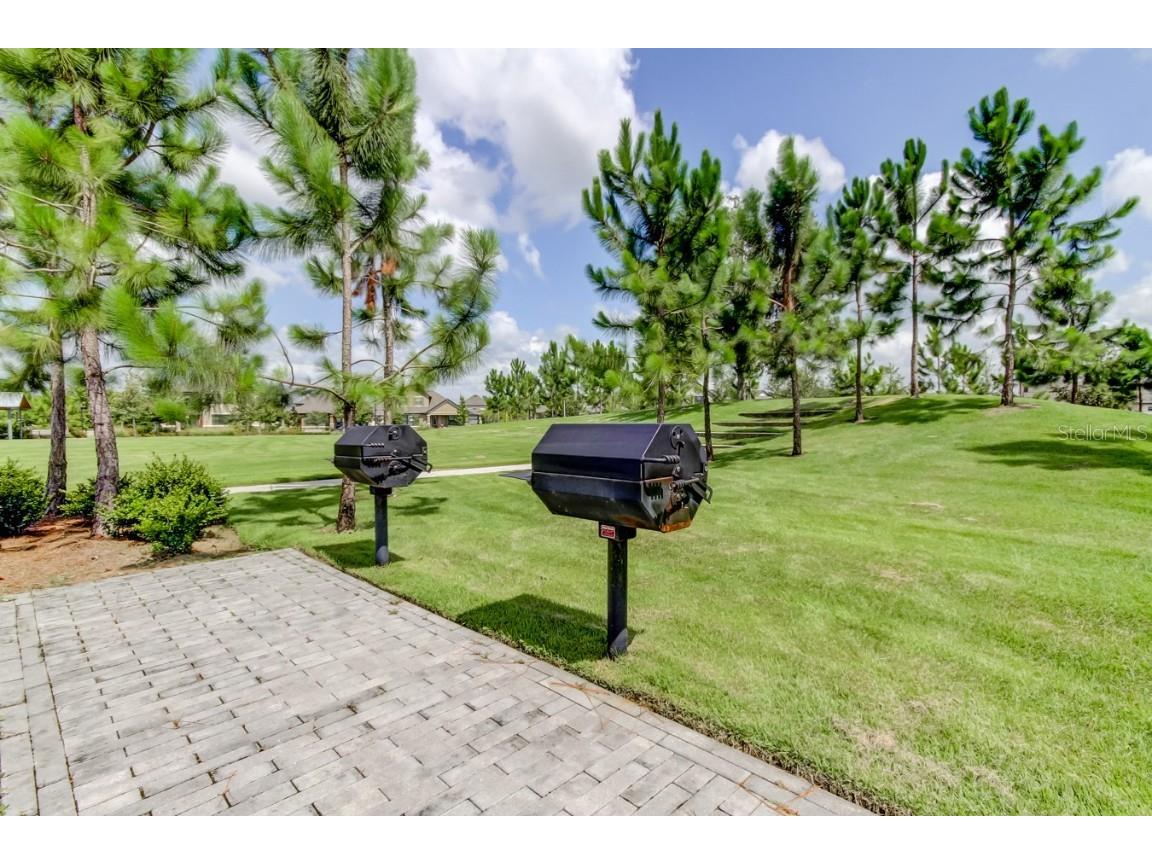 11855 Ranchers Gap Drive Odessa FL 33556 TB8419555 image74