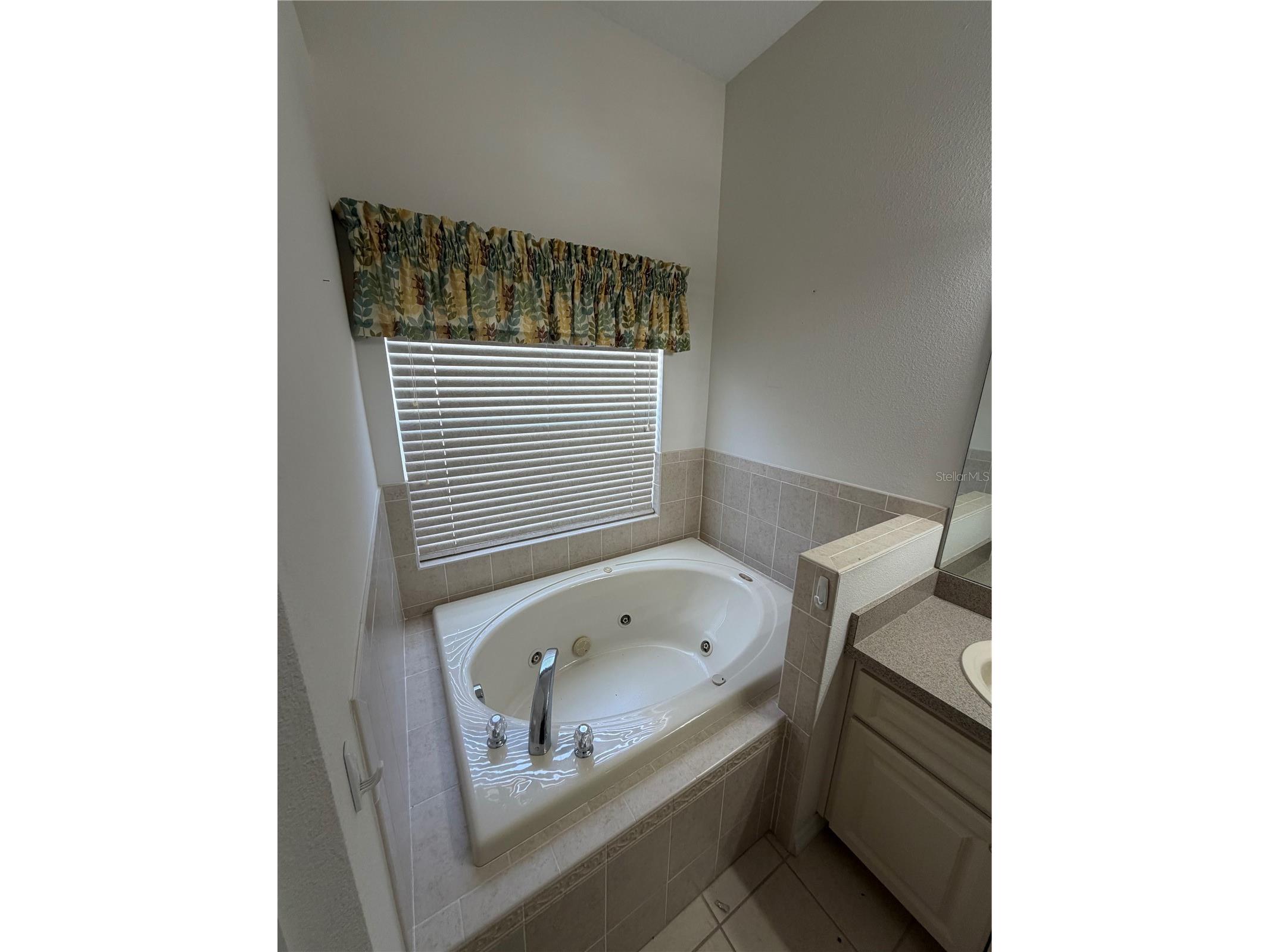11855 Tee Time Circle New Port Richey FL 34654 TB8499147 image10