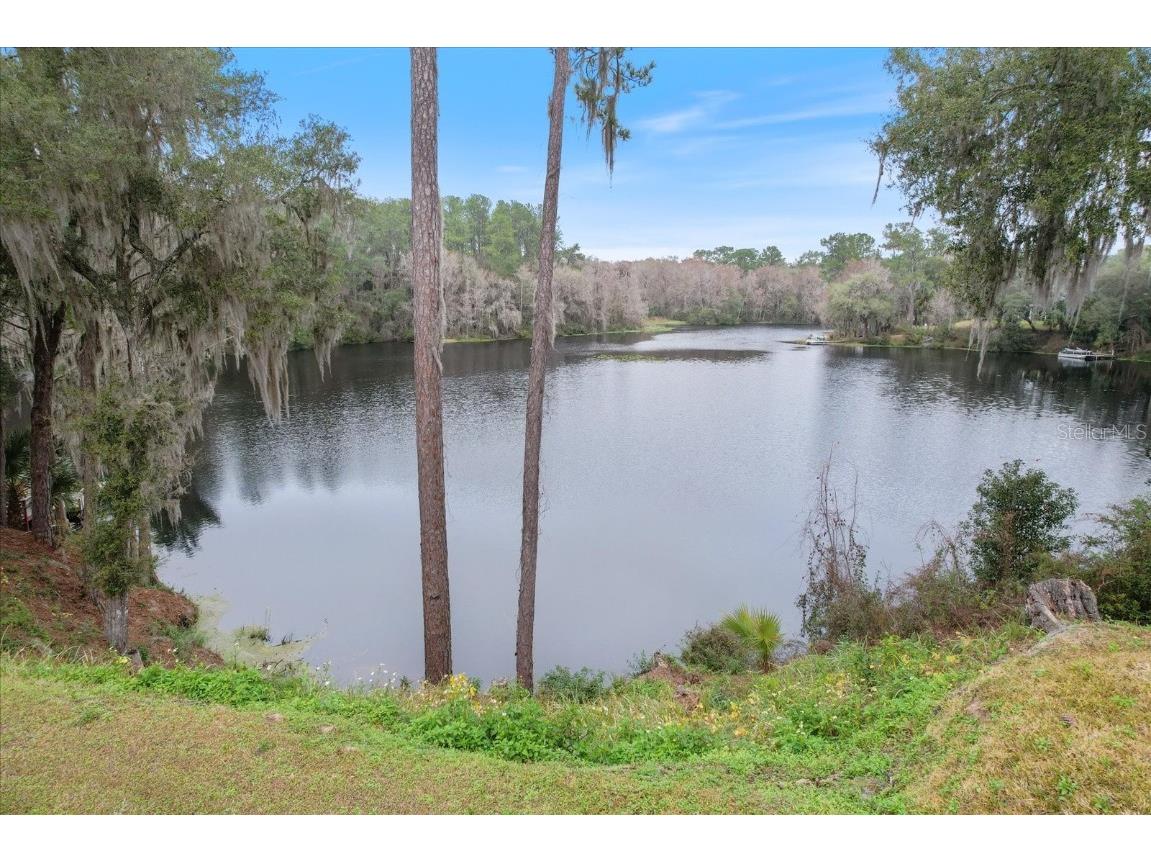 11856 N Bluff Cove Path Dunnellon FL 34434 - BLUFF COVE/WITHLACOOCHEE RIVER OM671437 image1