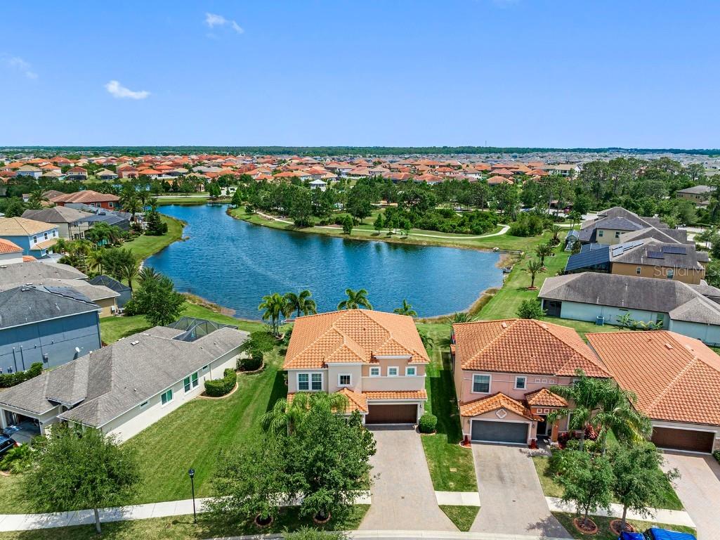 11857 Frost Aster Drive Riverview FL 33579 - WATERLEAF CDD T3522483 image1