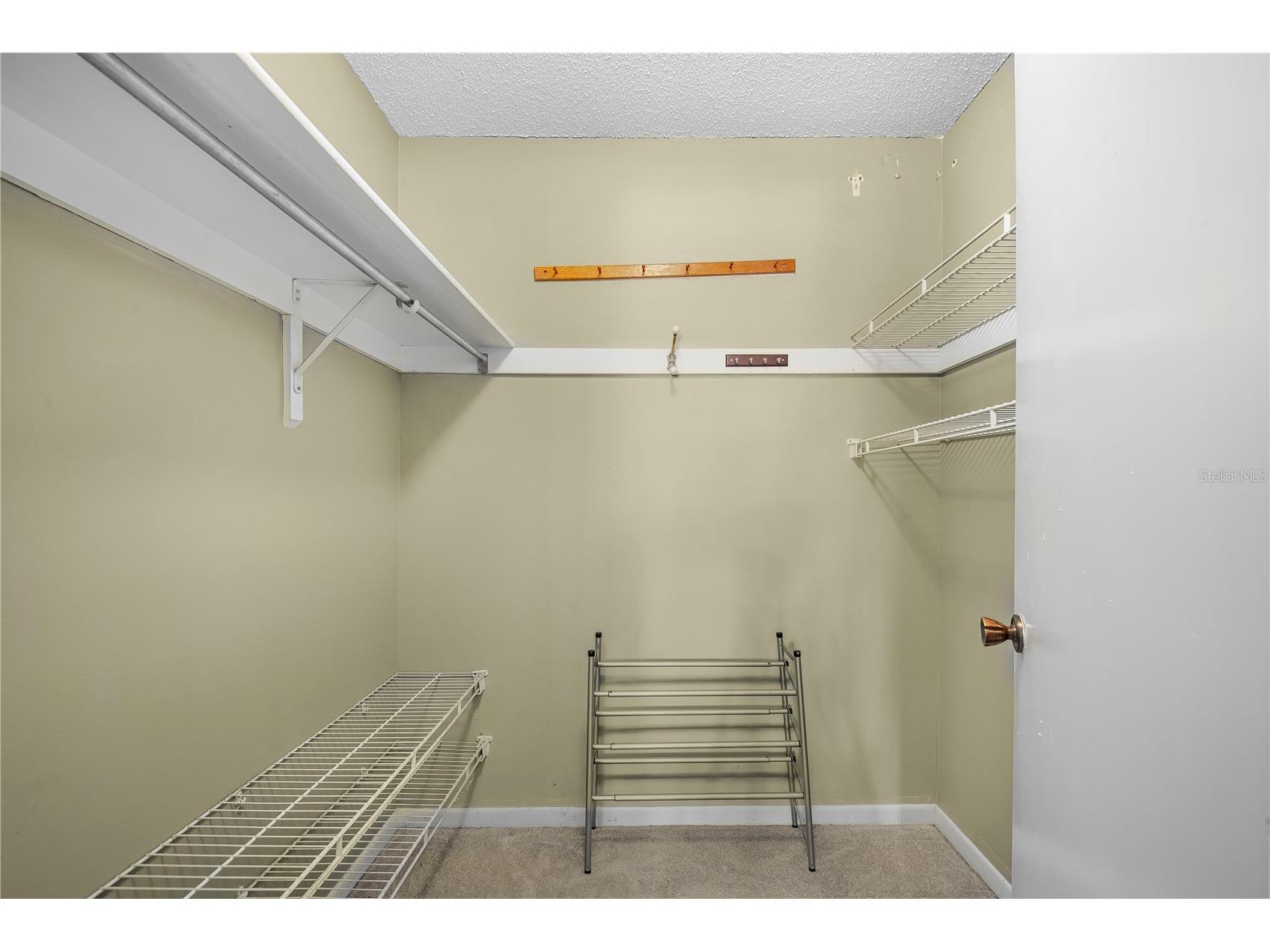 11857 Northtrail Avenue Temple Terrace FL 33617 TB8503082 image11