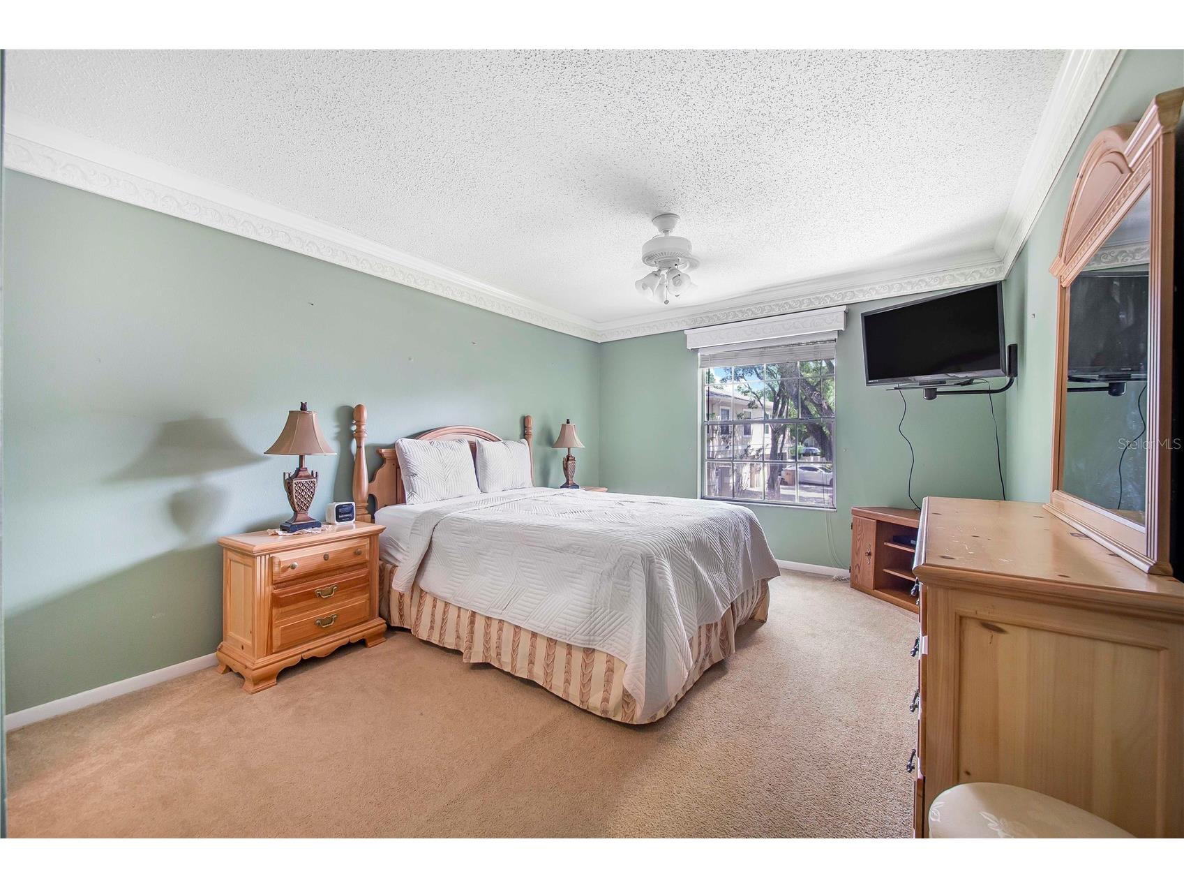 11857 Northtrail Avenue Temple Terrace FL 33617 TB8503082 image8