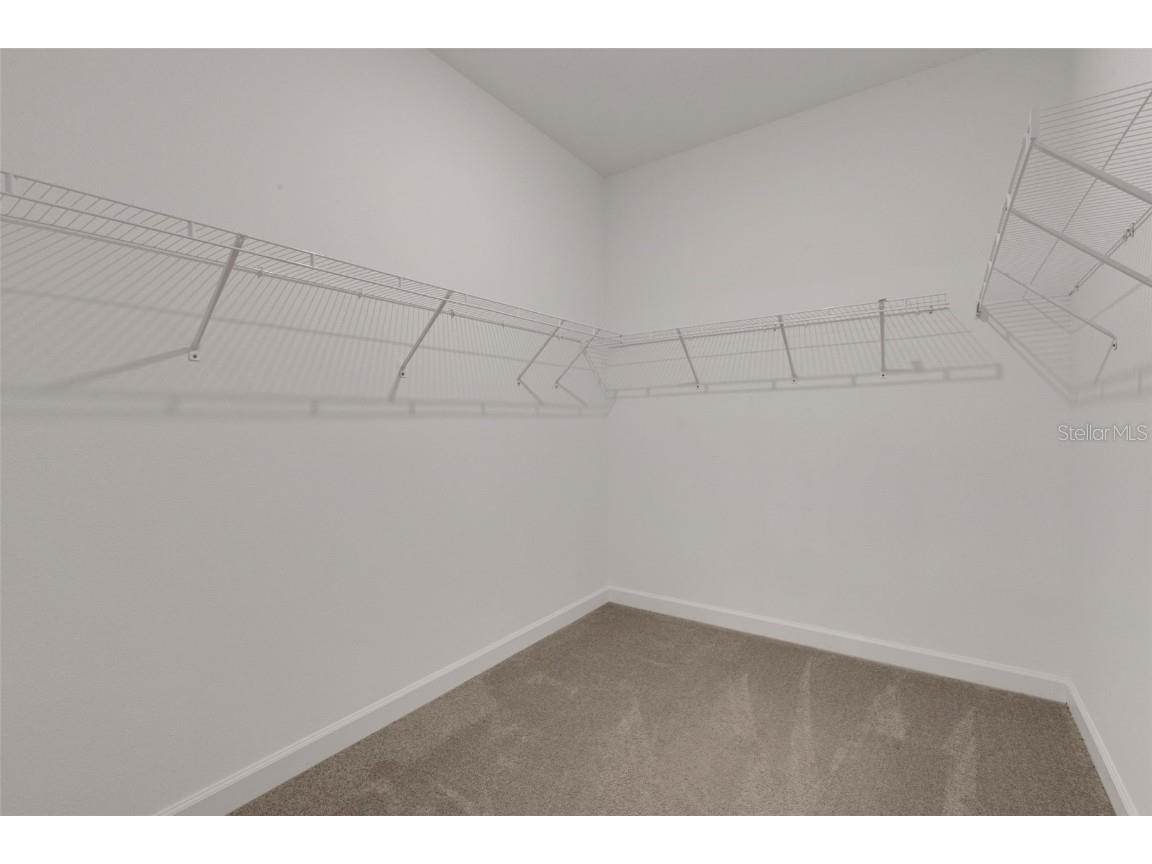 11858 Lilac Pearl Lane Parrish FL 34219 TB8441810 image43