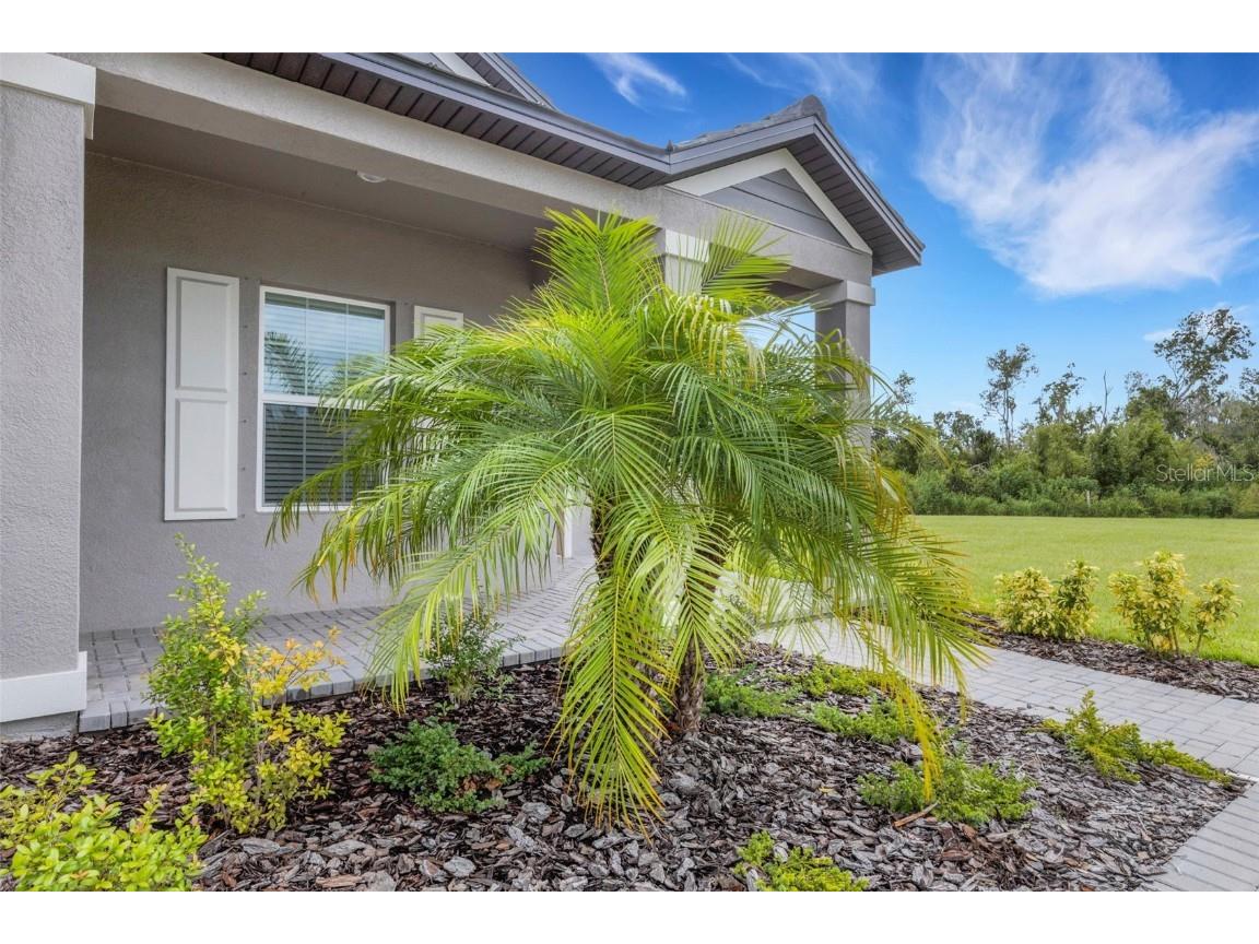 11858 Lilac Pearl Lane Parrish FL 34219 TB8441810 image55