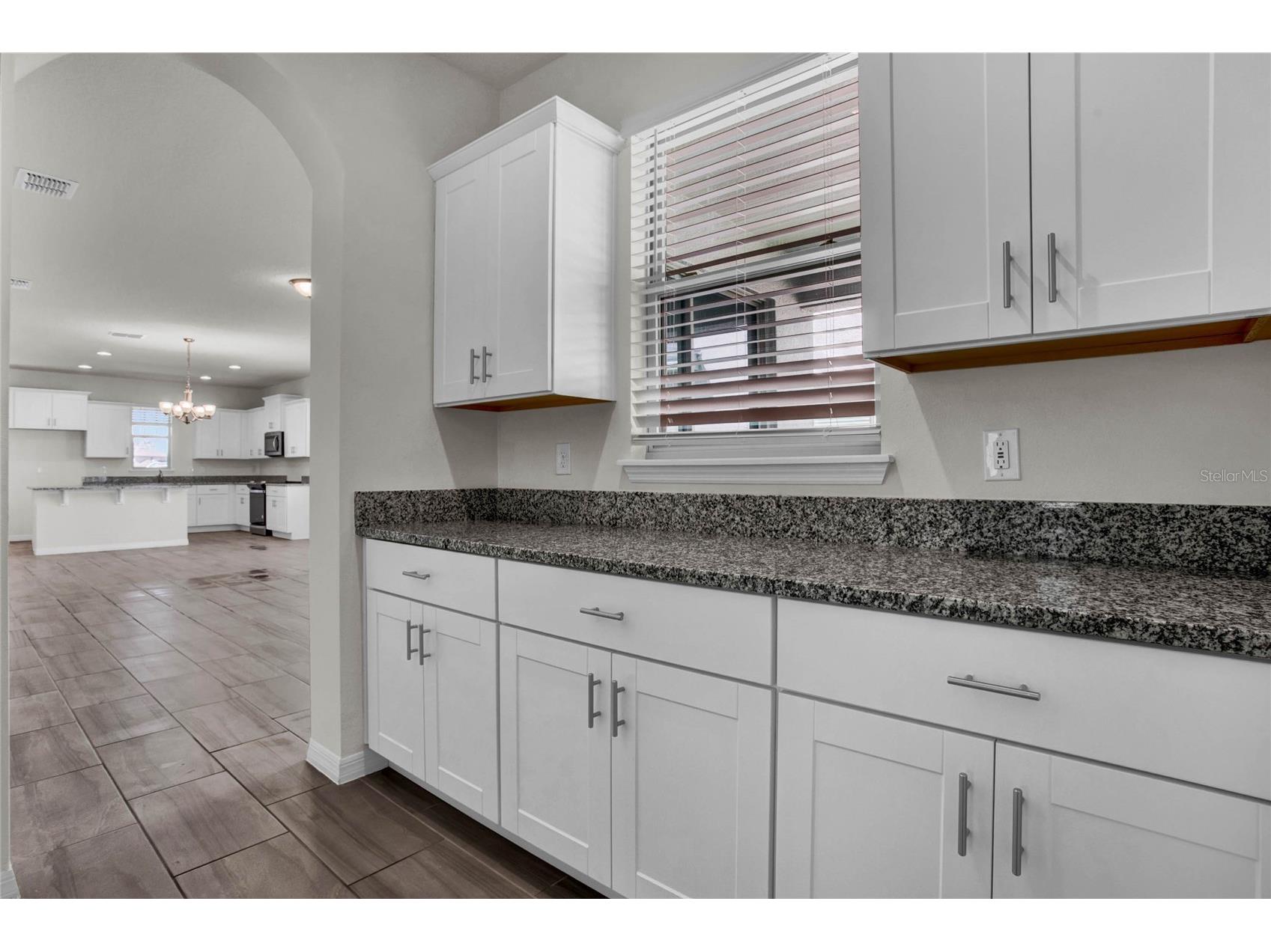 11858 Shine View Lane Winter Garden FL 34787 O6349514 image14