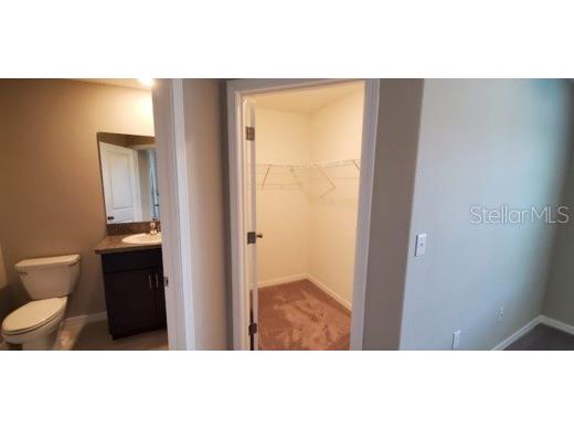11859 Dumaine Valley Road Riverview FL 33579 TB8501110 image11