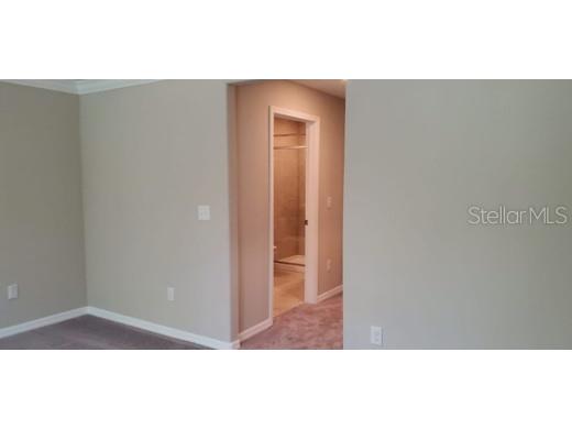 11859 Dumaine Valley Road Riverview FL 33579 TB8501110 image12