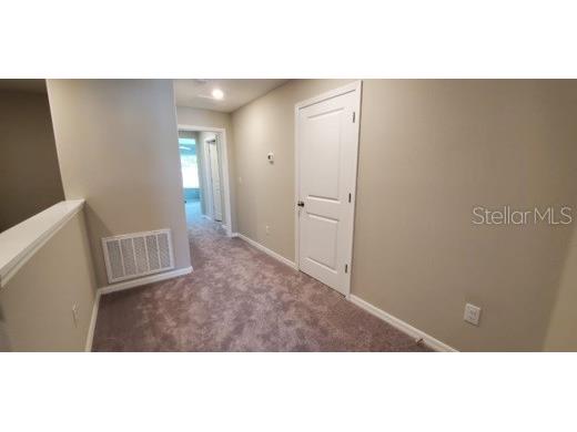 11859 Dumaine Valley Road Riverview FL 33579 TB8501110 image15