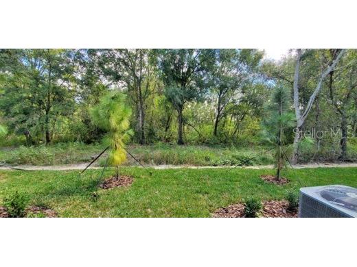 11859 Dumaine Valley Road Riverview FL 33579 TB8501110 image19