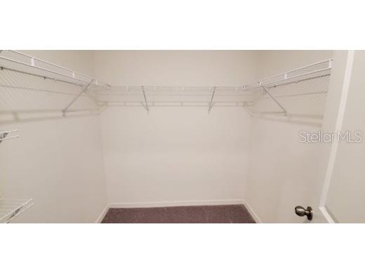 11859 Dumaine Valley Road Riverview FL 33579 TB8501110 image8