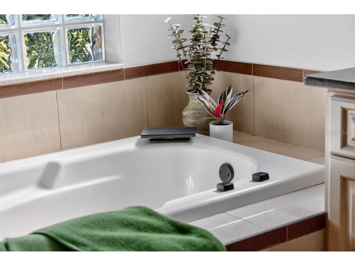 11859 Grandview Drive Parrish FL 34219 A4672546 image24