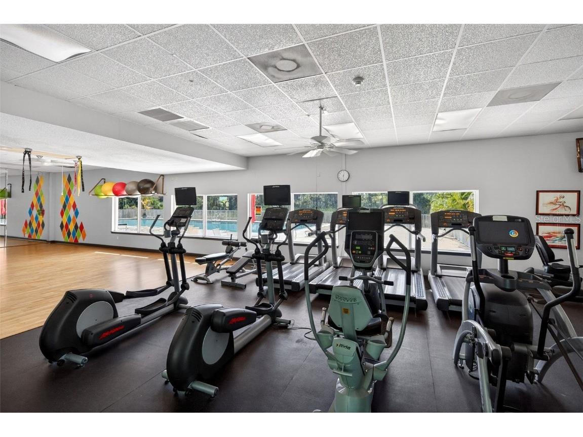 11859 Grandview Drive Parrish FL 34219 A4672546 image42