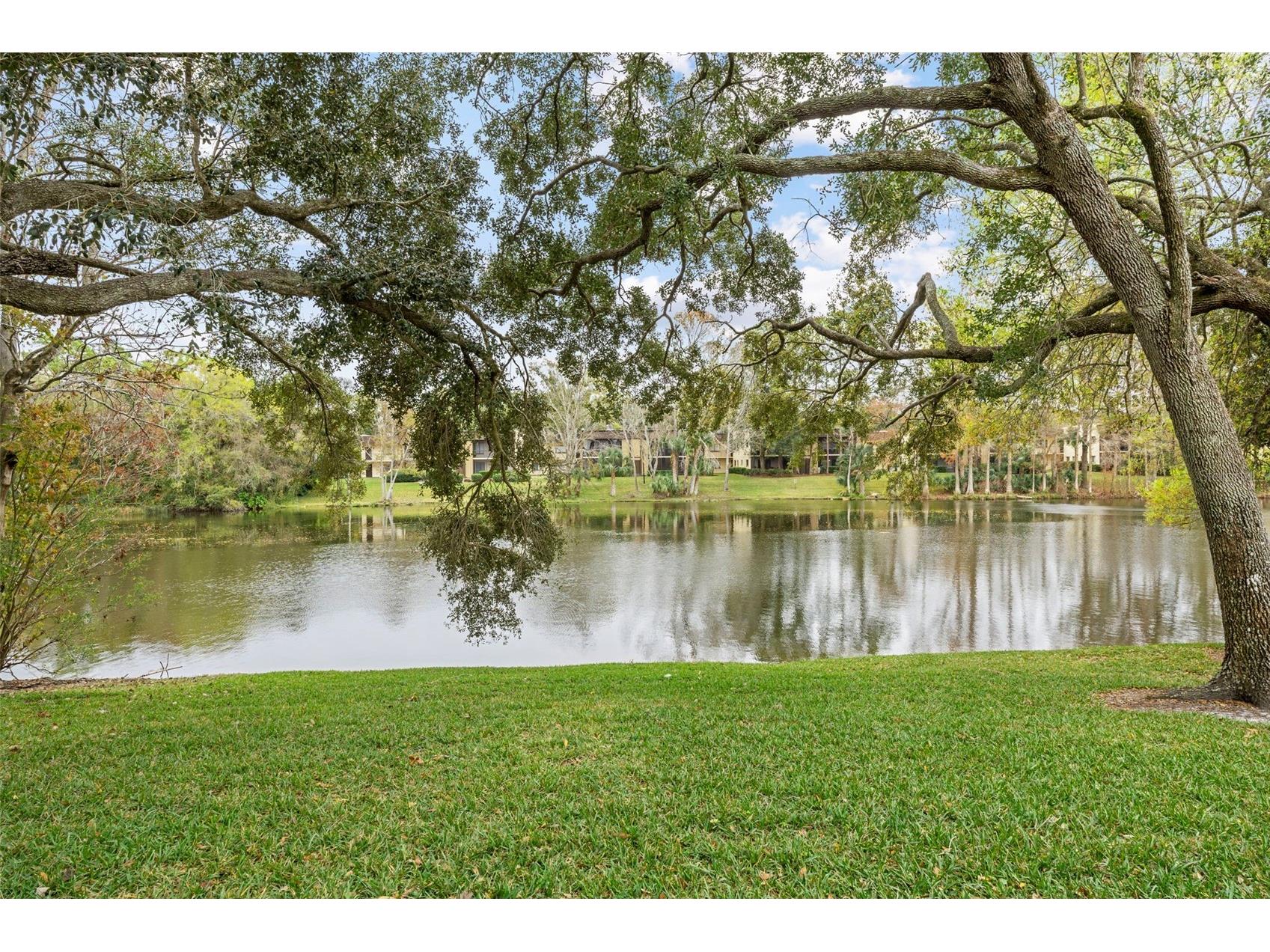 11859 Skylake Place #N/A Temple Terrace FL 33617 TB8468582 image1