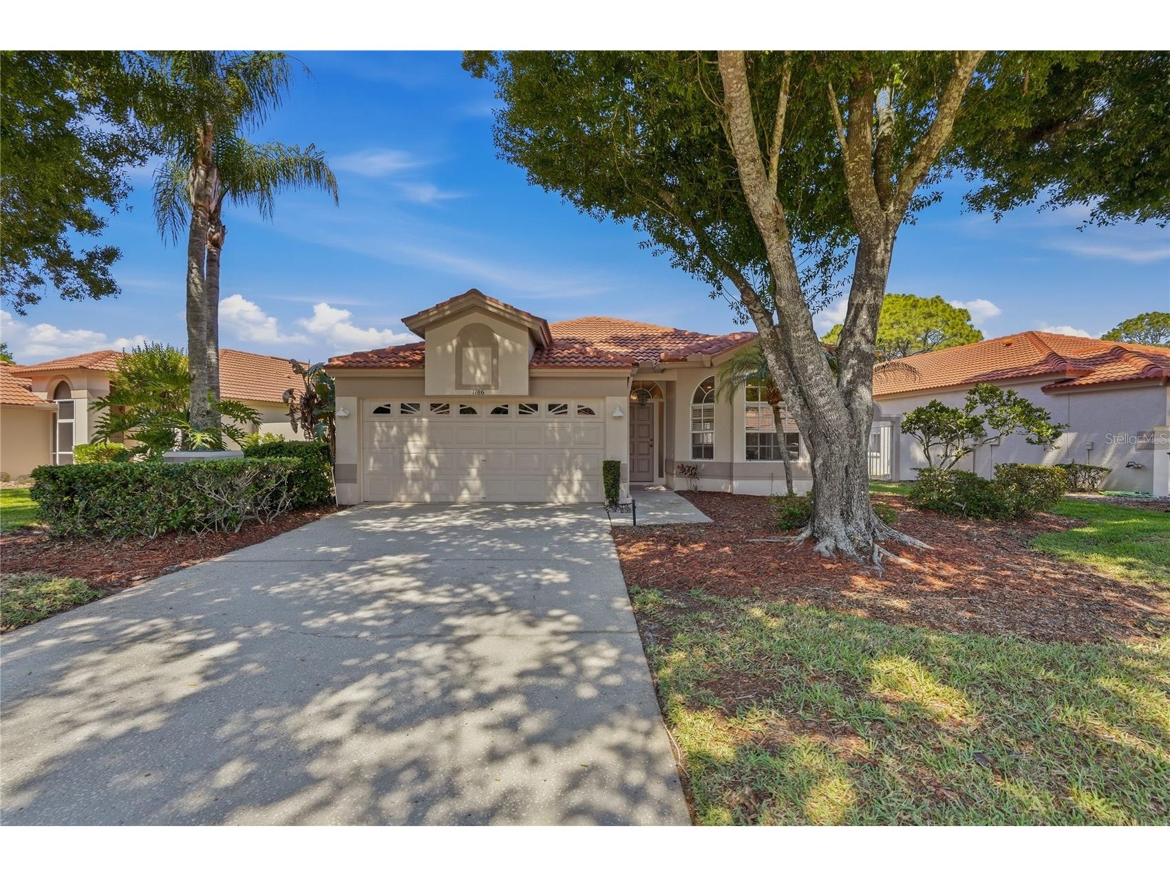 1186 Dartford Drive Tarpon Springs FL 34688 W7884879 image1