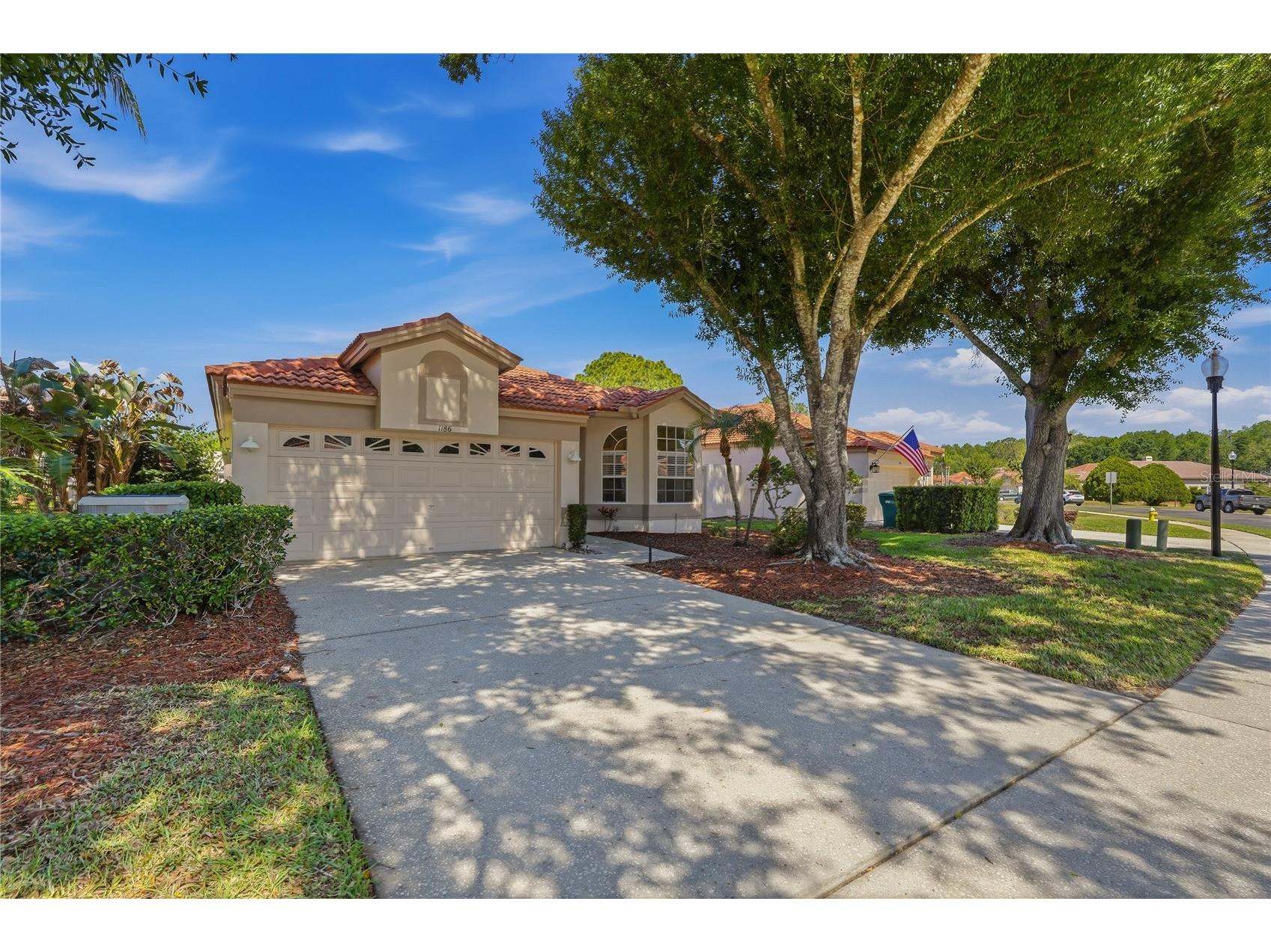 1186 Dartford Drive Tarpon Springs FL 34688 W7884879 image2