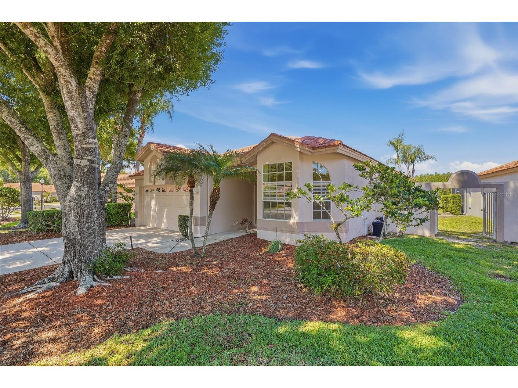1186 Dartford Drive Tarpon Springs FL 34688 W7884879 image3