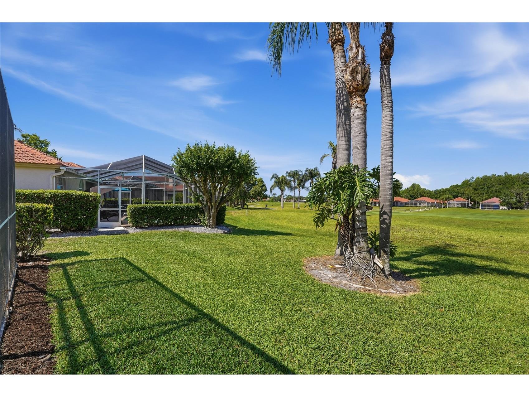 1186 Dartford Drive Tarpon Springs FL 34688 W7884879 image38