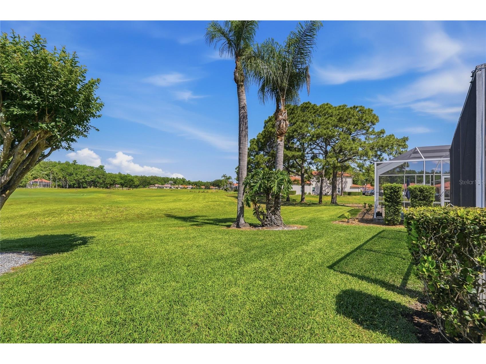 1186 Dartford Drive Tarpon Springs FL 34688 W7884879 image39