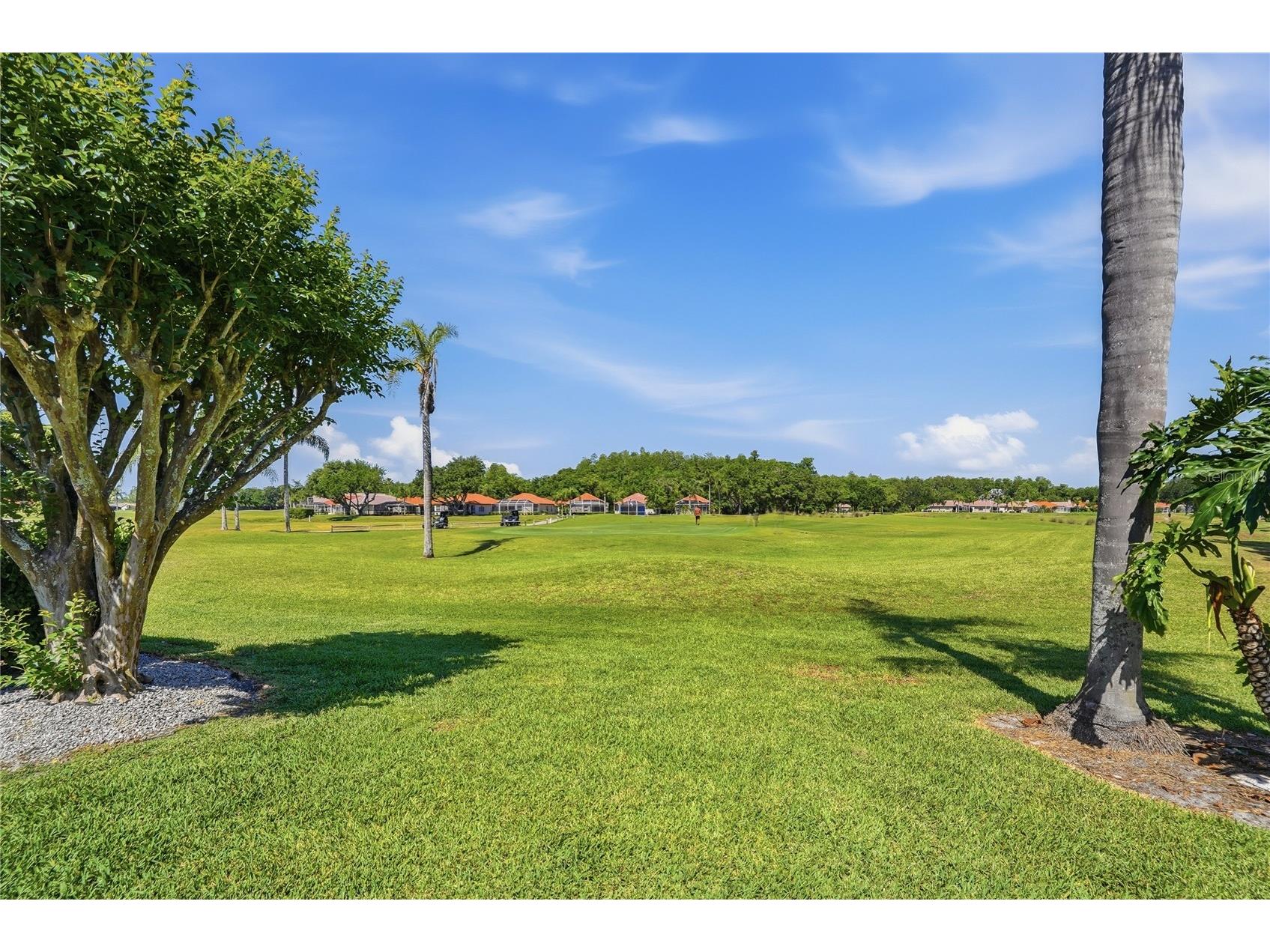 1186 Dartford Drive Tarpon Springs FL 34688 W7884879 image40