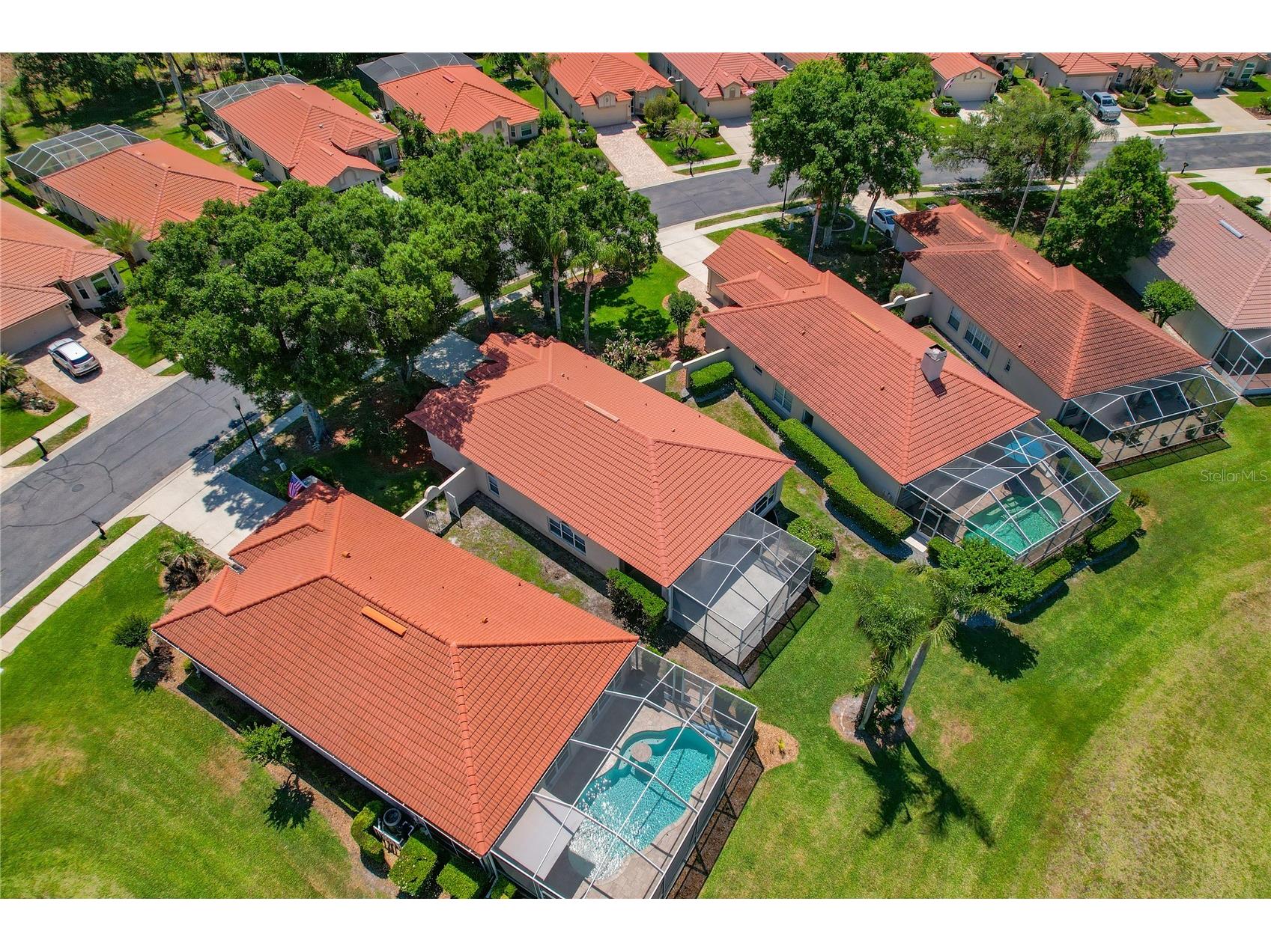 1186 Dartford Drive Tarpon Springs FL 34688 W7884879 image41