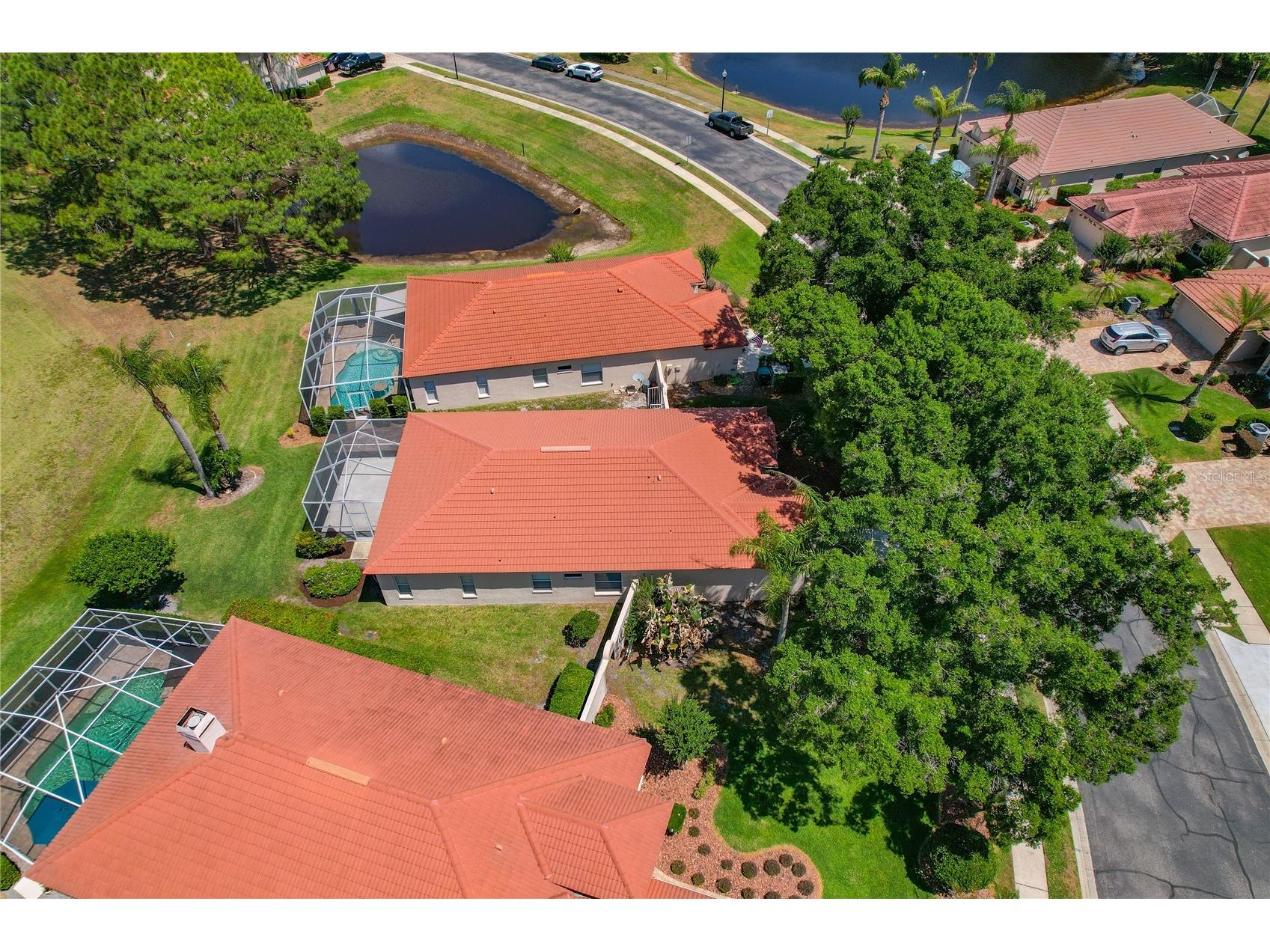 1186 Dartford Drive Tarpon Springs FL 34688 W7884879 image43