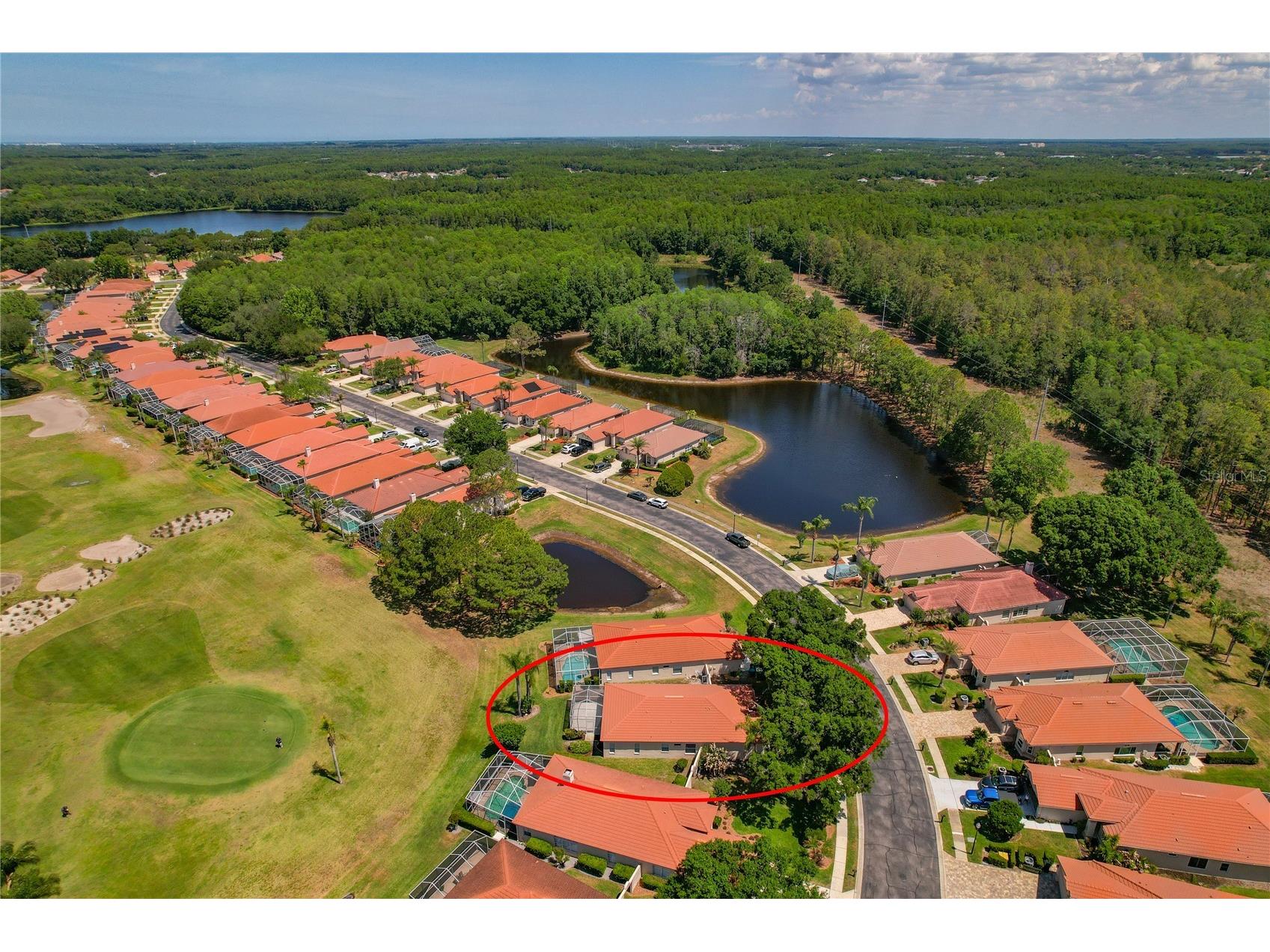 1186 Dartford Drive Tarpon Springs FL 34688 W7884879 image44