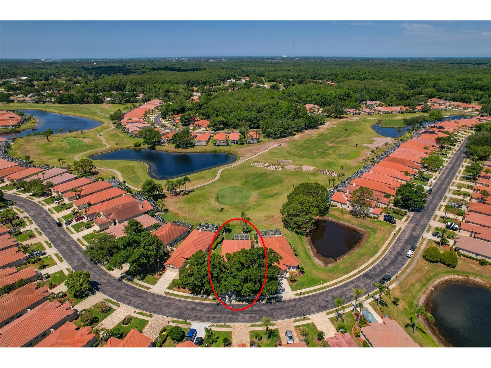 1186 Dartford Drive Tarpon Springs FL 34688 W7884879 image45