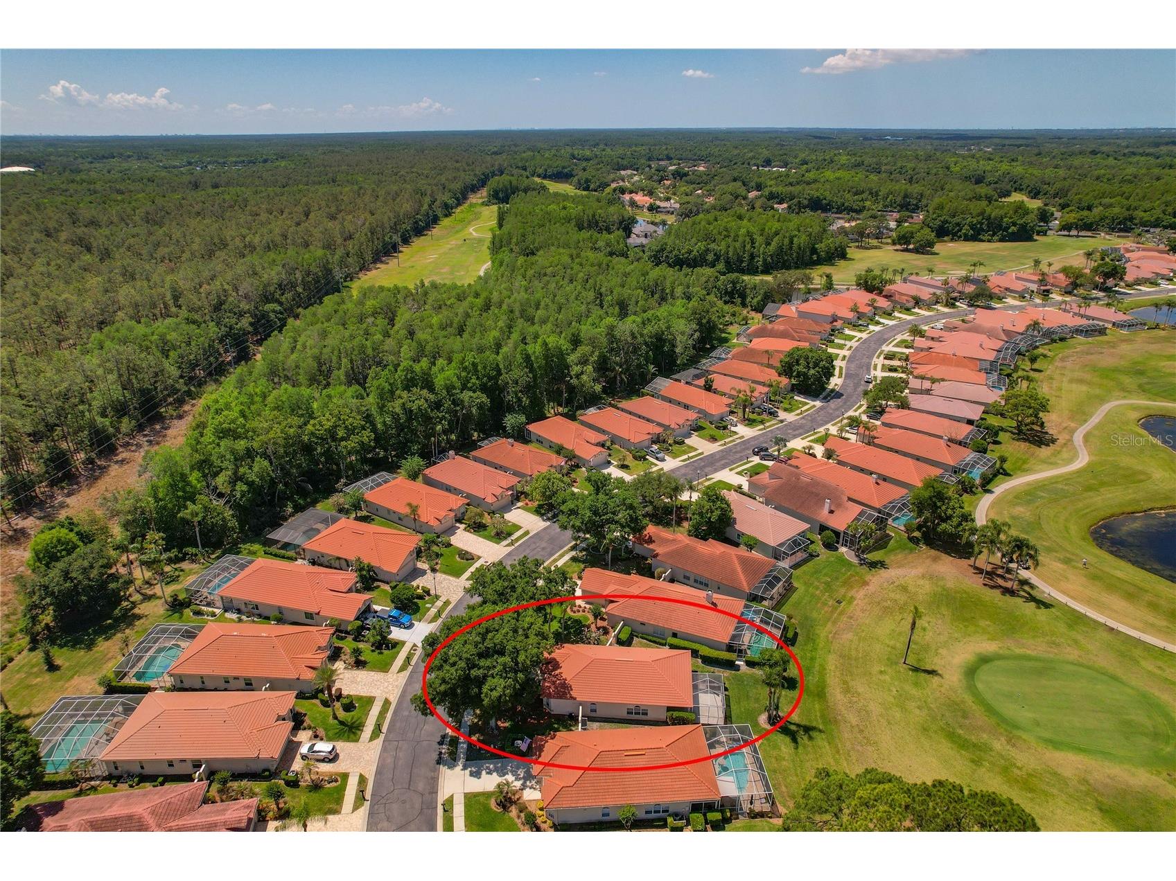1186 Dartford Drive Tarpon Springs FL 34688 W7884879 image46