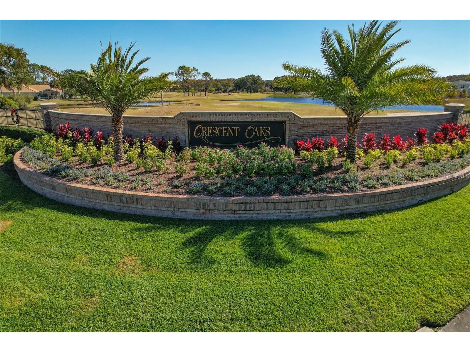 1186 Dartford Drive Tarpon Springs FL 34688 W7884879 image47